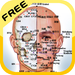 Acupoints Front View 穴位